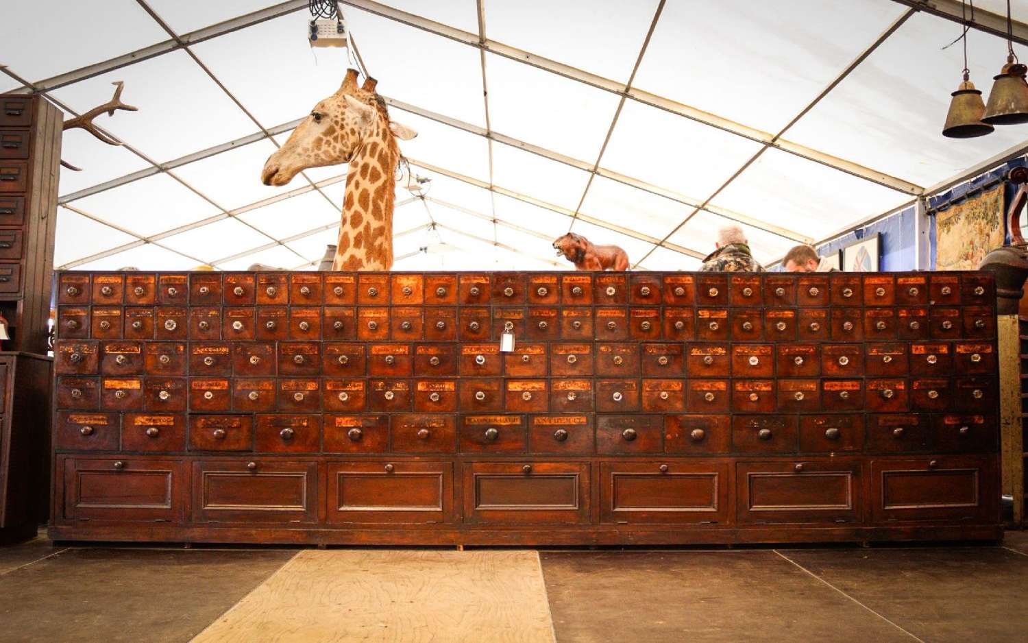 The largest Victorian (circa 1860) apothecary draws in the uk
